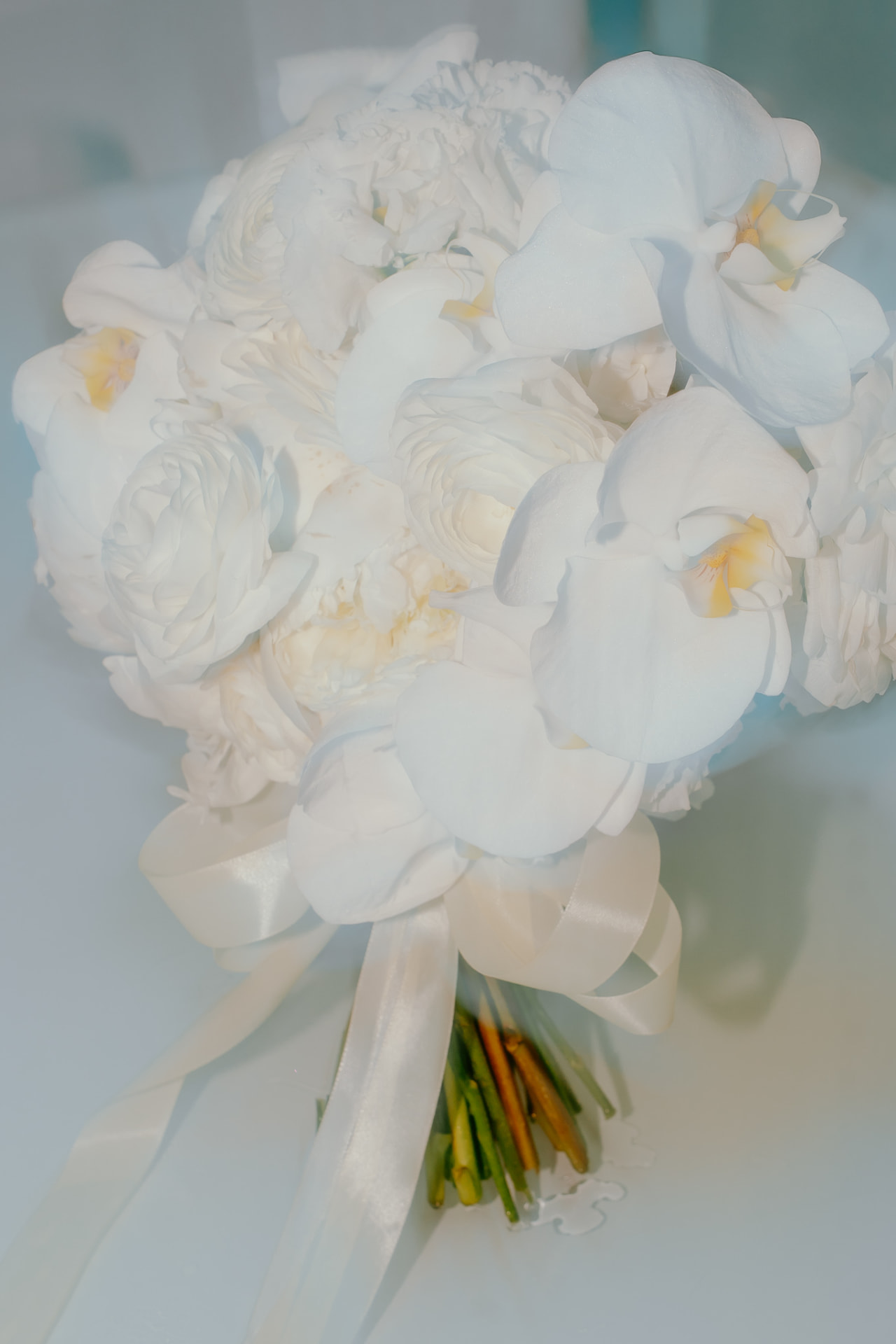 Cosmina & Ionuț · Botoșani — The Weddings — cadrul 8