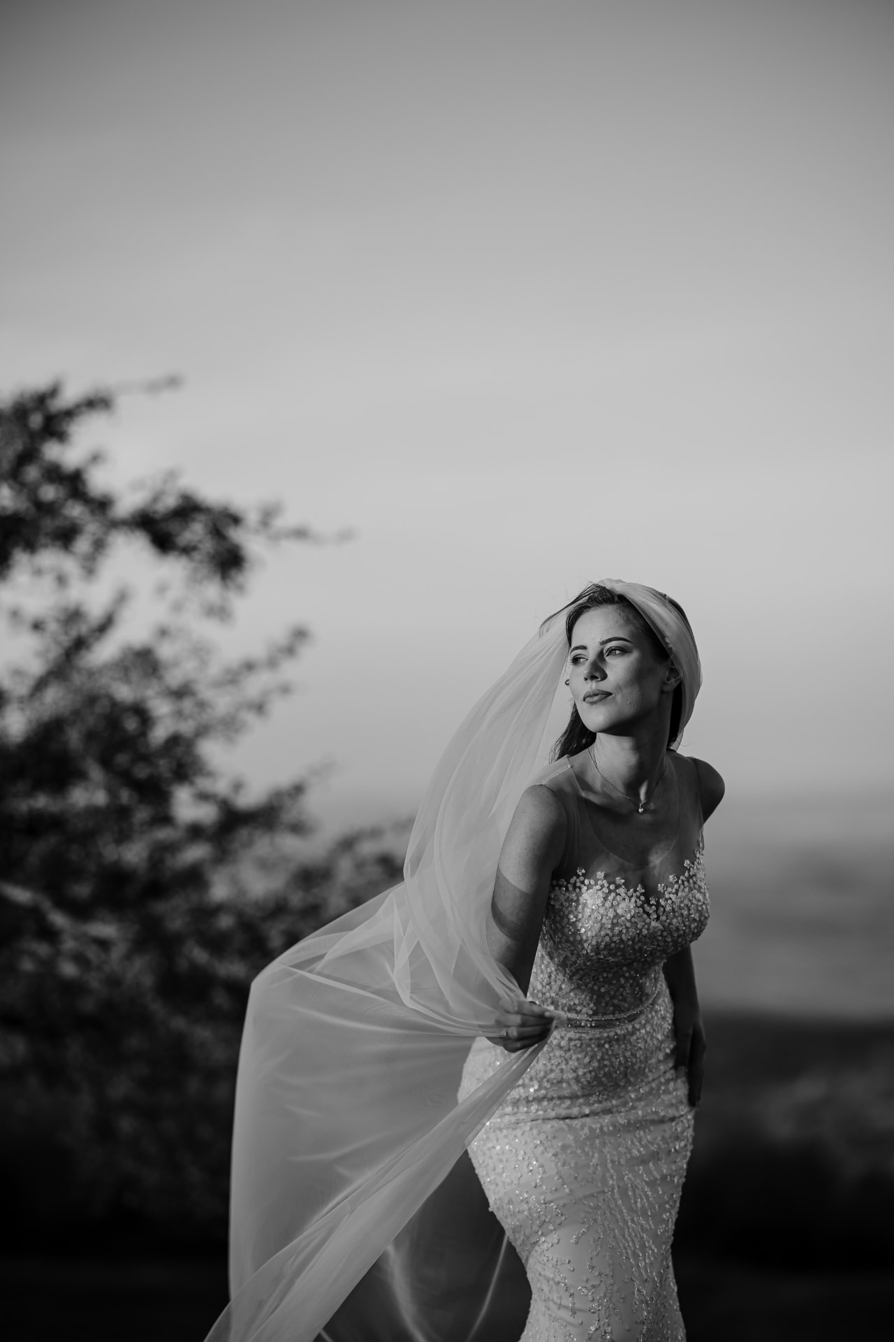 Antonia & Gabriel · Botoșani — After Wedding, cadrul 9